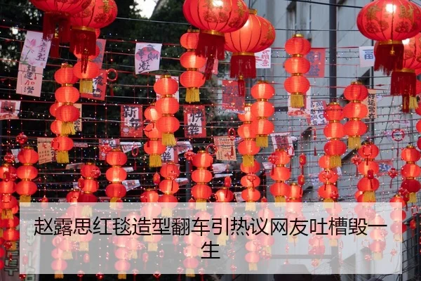 zhao-lu-si-hong-tan-zao-xing-fan-che-yin-re-yi-wang-you-tu-cao-hui-yi-sheng-2-412.jpg